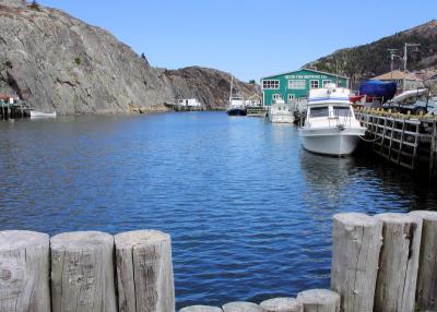 Quidi Vidi
