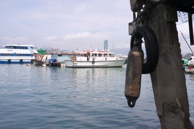 _DSF0598.jpg