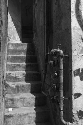_DSF0947.jpg