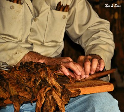 rolling a cigar