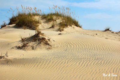 sand dunes -  outer banks North Carolina