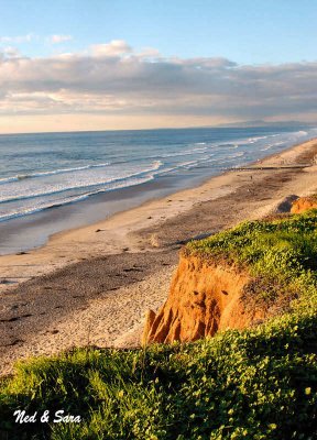 Torrey Pines Beach