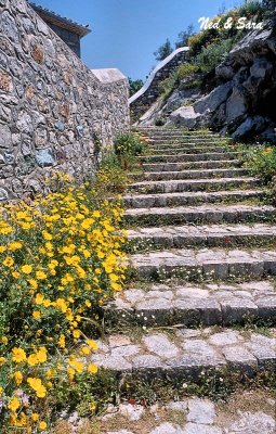  Flowered Steps