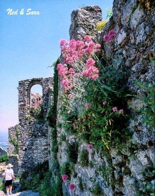 flowersing wall at Mistra