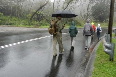 Out IN the rain!