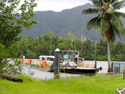 Ferry across the Daintree River