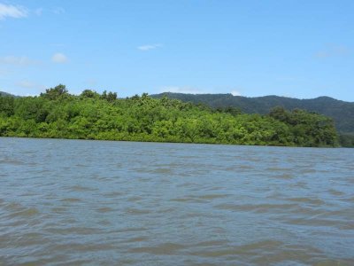 The Daintree River