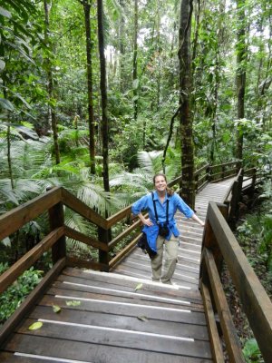 Boardwalk in the Daintree forest