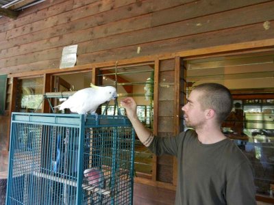 Lync-Haven restaurant mascot