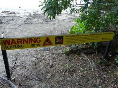 Interesting notices about crocodiles ...