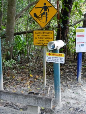 Warning (and vinegar) for jellies on a Queensland beach