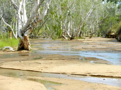 A billabong along the road