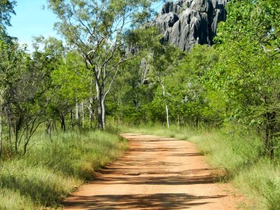 The road to the limestone caves in Chillagoe