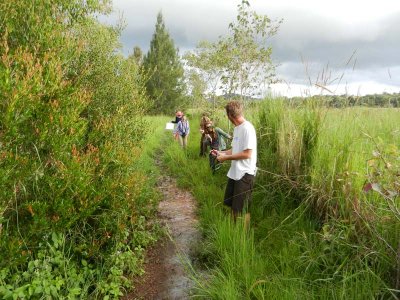 Riverwalk in Yungaburra