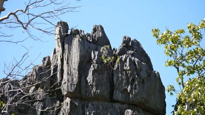 Limestone cliffs in Chillagoe