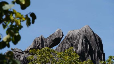 Limestone cliff looks like a crocodile!