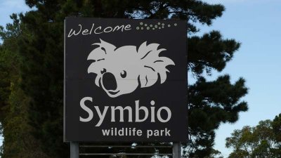 Visiting Symbio, a local small zoo