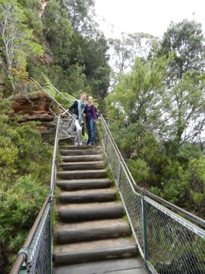 The steps