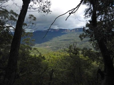 View along the trail at the bottom of the 1,000 steps