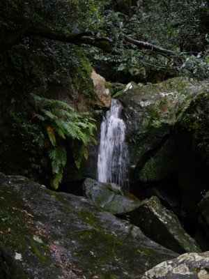 A pretty waterfall along the way