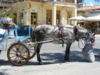 One mode of transport on Aegina