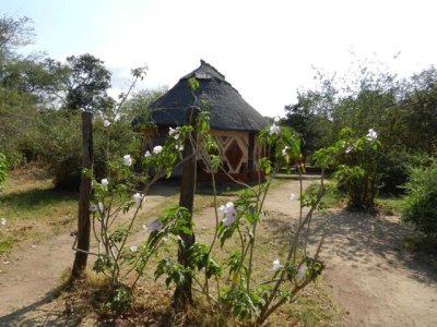 Cultural village museum nearby Tsika Island
