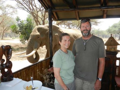Elephant joining lunch at Old Mondoro