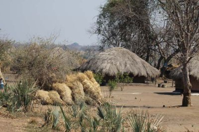 Mfuwe village
