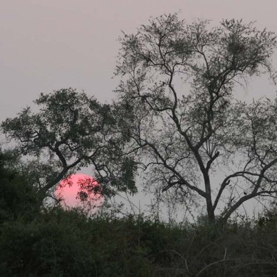 Zambian sunset