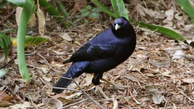 IMG_5645.jpg