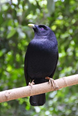 IMG_5670.jpg