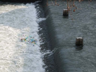 Unfortunate collection of plastic on the Tiber River (don't ever buy plastic water bottles!)