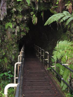 Entrance to the Thurston Lava Tube