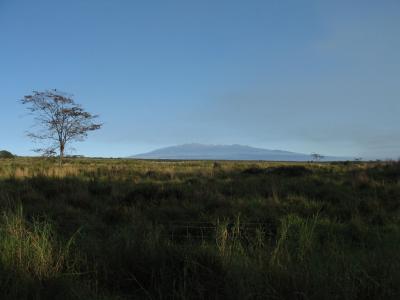 View of Mauna Kea