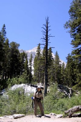 The intrepid hiker