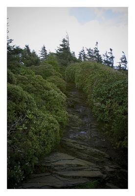 Up to Cliff Top