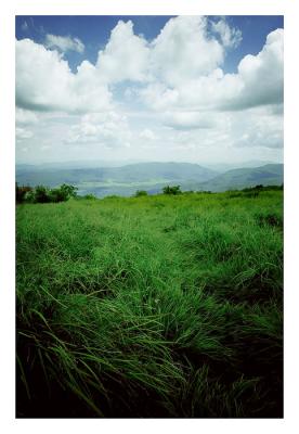 A distant Cades Cove