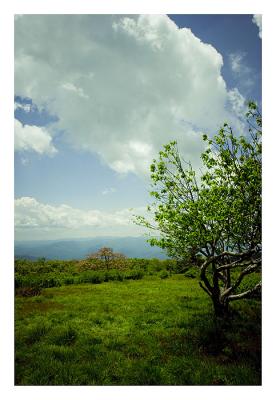South to North Carolina