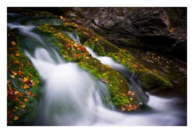 _MG_1616 Edit from RAW sized 3 4.jpg