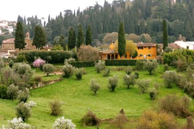 Firenze