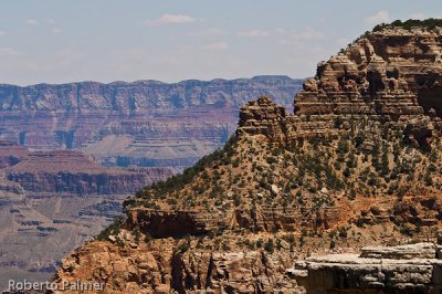 Grand Canyon-2