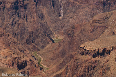 Grand Canyon-14