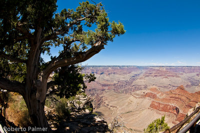 Grand Canyon-15