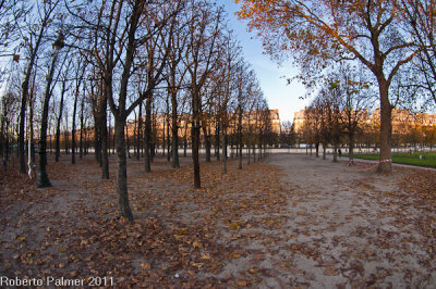 Jardin des Tuileries-2