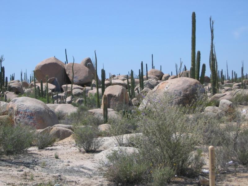 Big Rocks in Catavina