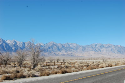 DSC_0659.JPG
