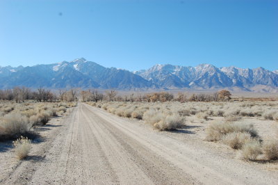 DSC_0663.JPG