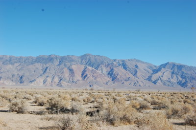 DSC_0664.JPG