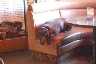 Jakes/Dog Friendly Bar