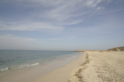 _FS18689.JPG